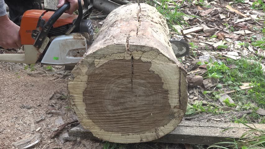 Fastest motorized log